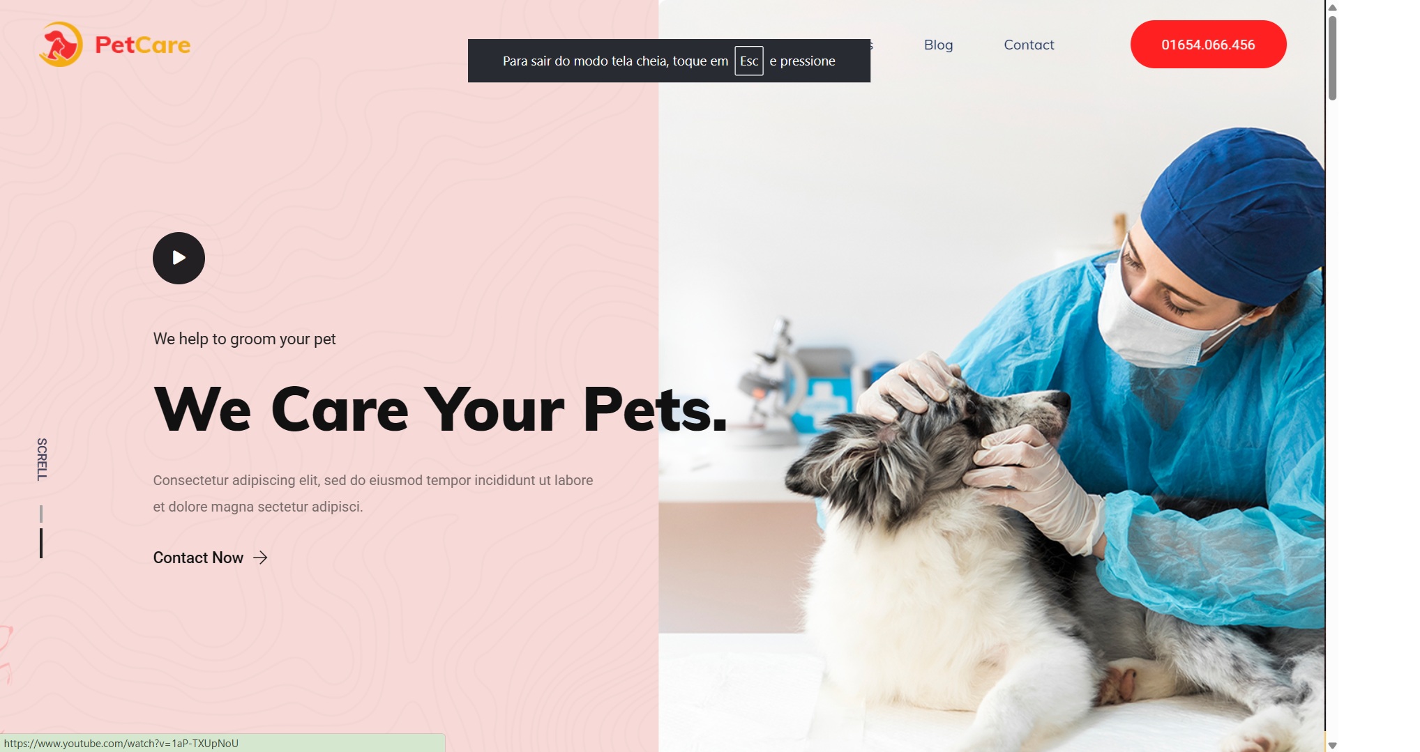 Pets